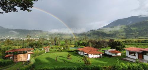Las Tolas Cabin | Eco Avocado Lodge