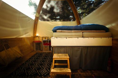Seynod Other | Eco Bivouac village igloos Annecy - LE SEMNOZ - à 20 minutes d'Annecy