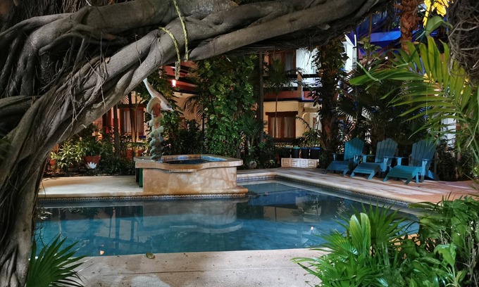 Downtown Cancun Hotel | Eco-Hotel El Rey del Caribe