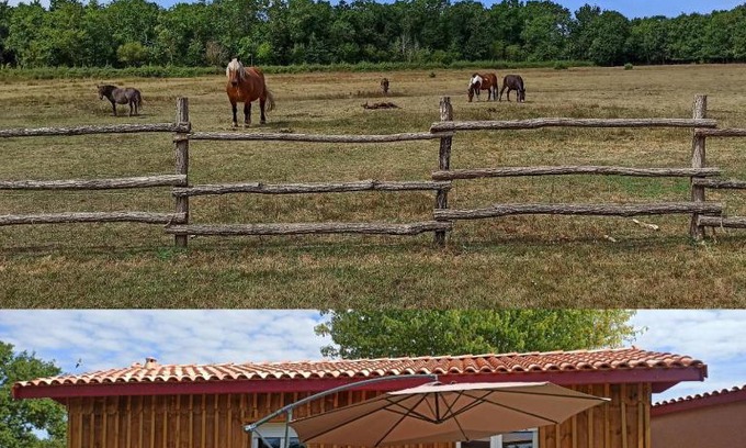 Vendays-Montalivet House | eco nature, gite à la ferme