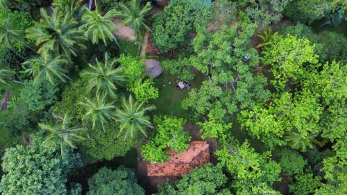 Dambulla Hotel | Eco Village Kalundewa