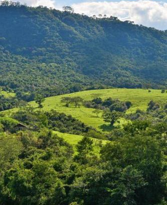 Bofete House | Ecofazenda Lodge