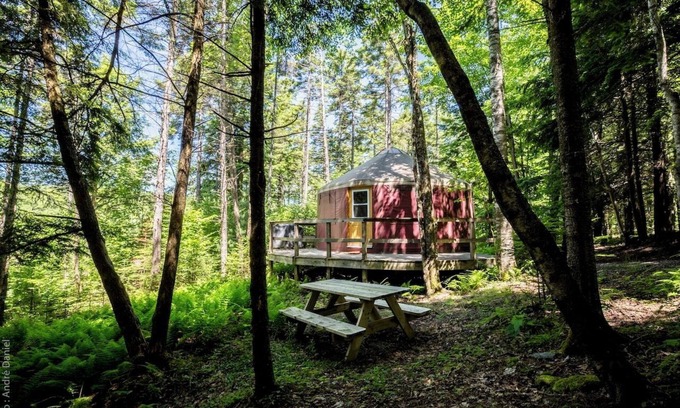 Saint-Etienne-De-Bolto Cabin | Ecological, intimate and immersive yurt: Le Lièvre