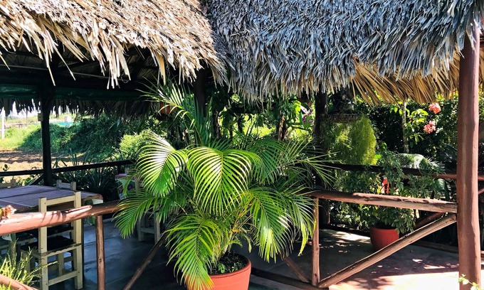 Vinales Bed & Breakfast | Ecological Farm William y Cary