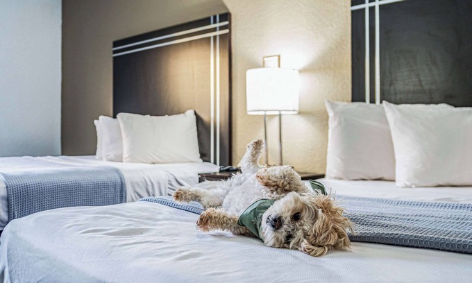 Streetsboro Hotel | Econo Lodge Cleveland Southeast - Kent