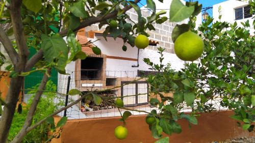 Galdar House | Edara Home - Vivienda completa