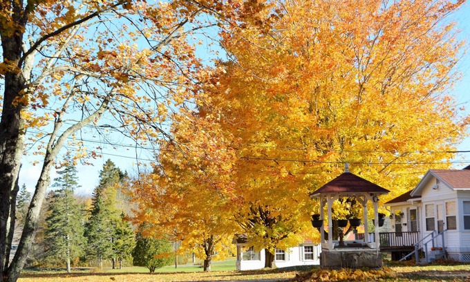Bar Harbor Hotel | Eden Village Motel & Cottages