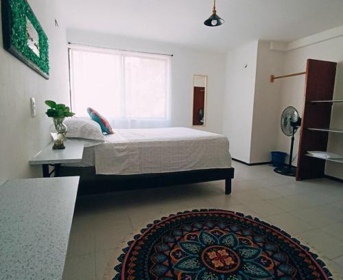 Alfredo V. Bonfil Apartment | Educarte Department
