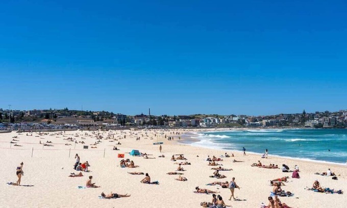 Bondi Apartment | Edward Escape - New Listing | Short Walk to Beach