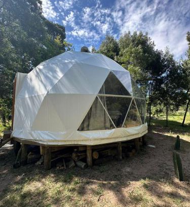 Maldonado House | El Domo del ALF La Paz entre el bosque y el mar II