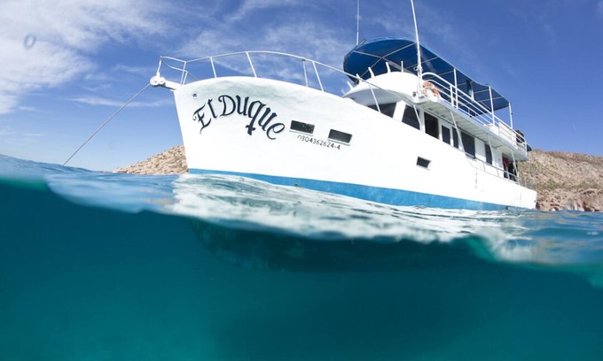 La Paz Boat Rental | El Duque Adventures In The Sea Of Cortez And Beyond