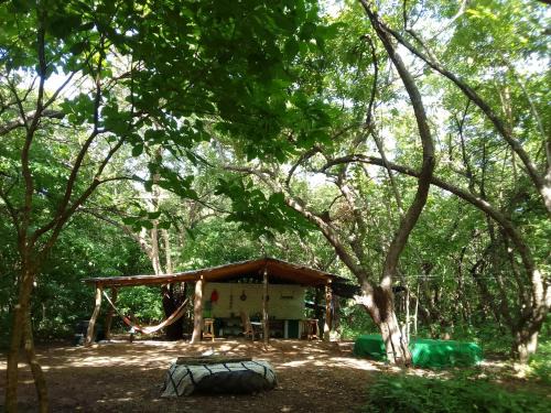 Popoyo Resort | El Pirata Caracol