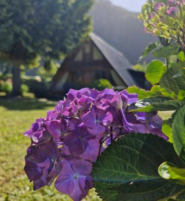 Llifen House | El rincon del lago