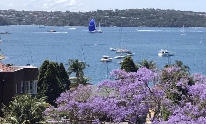 Rushcutters Bay Apartment | Elizabeth Bay, Sydney Harbour - Great Views!