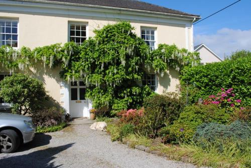 Northlew Bed & Breakfast | Elmfield