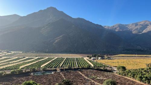 El Molle House | Elqui Valley Avocado Farm