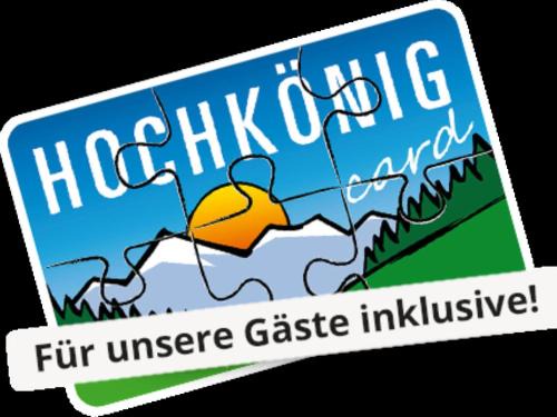 Dienten am Hochkoenig Apartment | Emma Top 1 XL