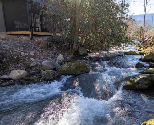 Cosby House | Enchanted Bungalow, Pickleball Court, Creek, WIFI, Mountain Views, Starting at 69