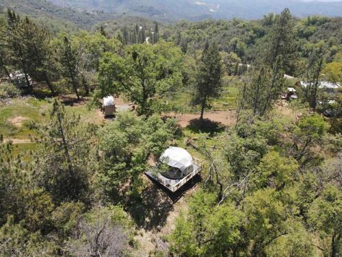 Dunlap Other | Enchanted Forest Dome ,10-15 minutes to Kings Canyons-New pellet stove for cozy warm nights