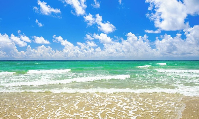 Hollywood South Central Beach Resort | Enchanted Isle Resort 1 Bedroom Kitchen sleeps 4n Avail week Oct 25-Nov 1