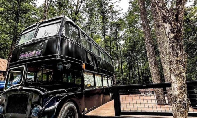 Hayesville House | Enchanted MidKnight Bus with Loft, Firepit, Petting Zoo & Wizarding Adventure