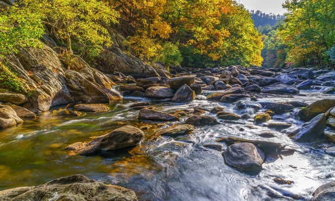 Black Bear Falls Cabin | Enchanted View Lodge