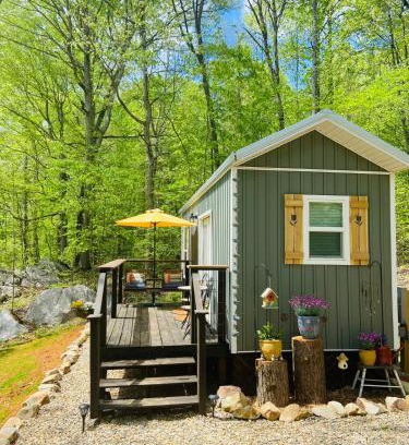 Newport House | Enchanting Cottage In The Woods