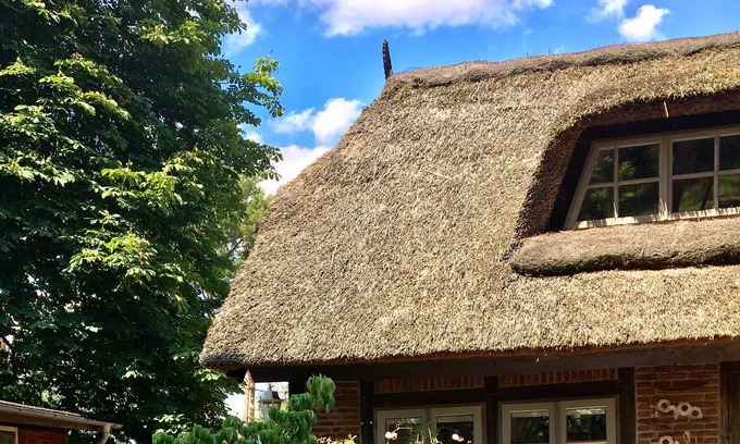 Hittbergen Apartment | Enchanting domicile under thatch on the Elbe Cycle Path