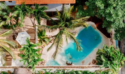 Downtown Cancun Hotel | Enigmatic Hotel Experience