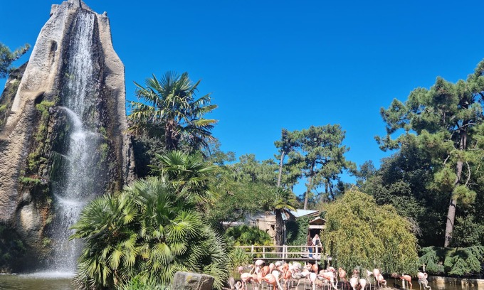Taillant House | Enjoy a wonderful vacation in this beautiful vacation home.