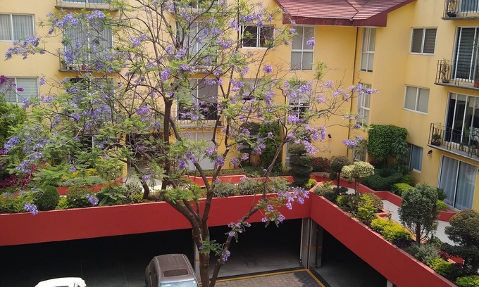 Coyoacan Apartment | Enjoy the best location on Mexico City in San Angel
