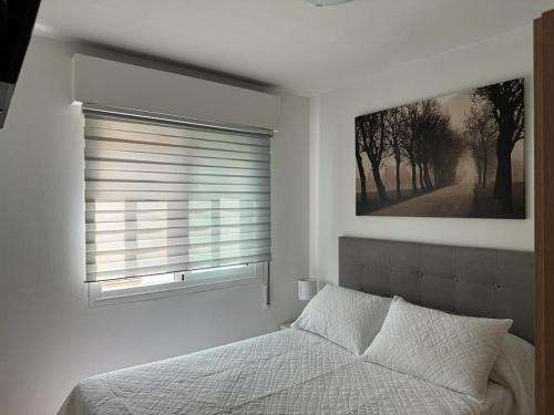 Ourense Apartment | Ensino 22