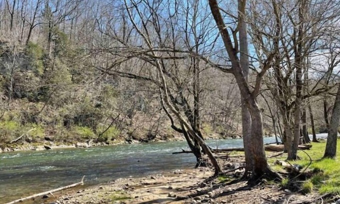 Central Apartment | Entire 2 bed 1 bath apt in Johnson City