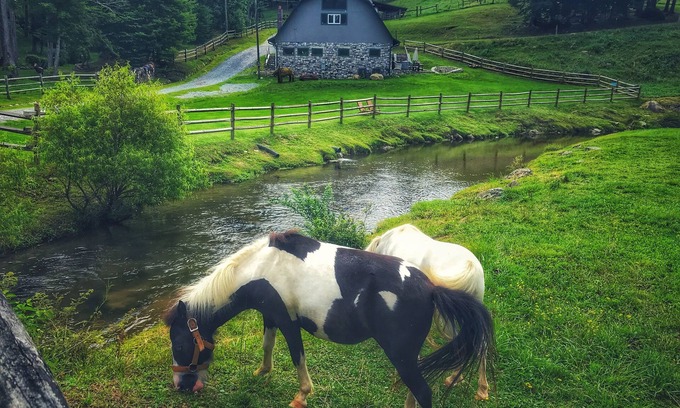 Sugar Grove Cabin | Entire Barn: Farm Stay w/Petting Zoo, Tube Slide & Ziplines