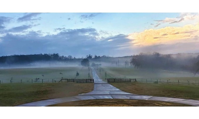 McDonough House | Entire House & Horse Farm - Outside Atlanta