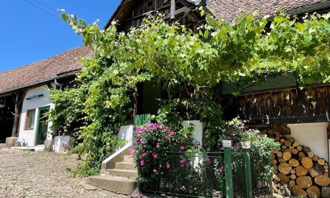 Saschiz House | Entire House @Saschiz 130