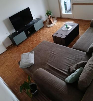 Birsfelden Apartment | ESC Basel Furnished Apartment