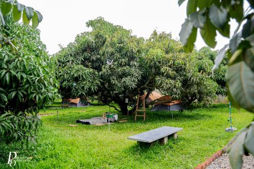 Denkanikota Other | Escape to Nature at Mango Trails by Green Getaways