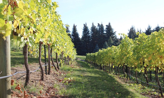 Bigfork House | EV Charger, Vineyard, Championship Golf Course all with a Beautiful Water View!