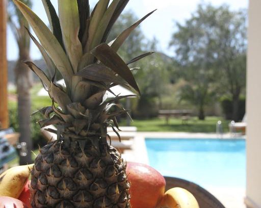 Pissouri Villa | Eve Pissouri Rozaki Villa