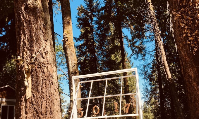 Milwaukie House | Even your dog feels Oregonian at Rosie Ranch!