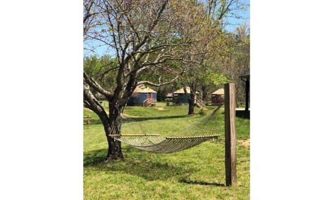 Candler Apartment | Evening Shade - Yurt 4
