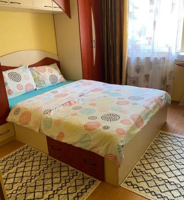 Baia Mare Apartment | Exclusive HORTENSIEI