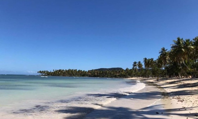 Samana Apartment | Executive Suite - Apartment 7 in Villa Coconut
