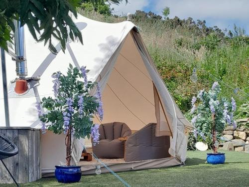 Carlingford Other | Fairy Fort at Rosemount Glamping