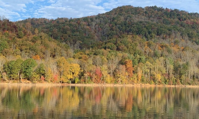 Butler Cabin | Fall for Lakefront Bear Cub Cabin on Watauga Lake