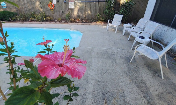 Lake Magdalene House | Family Getaway - spacious & near Busch Gardens/USF with Private 1bedroom suite