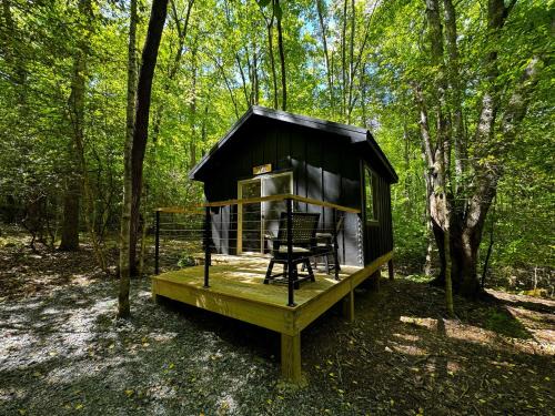 Balsam Grove Other | Family Glamping Cabin-Bed and Bear at Valley Bear Farms Resort