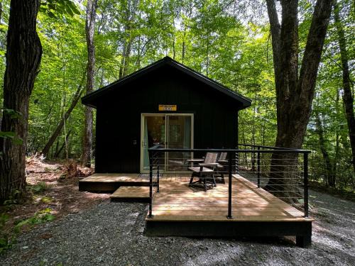 Balsam Grove Other | Family Glamping Cabin-Can't Bear to Leave at Valley Bear Farms Resort