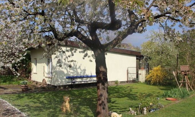 Muritz House | Family idyll Comfortable holiday residence